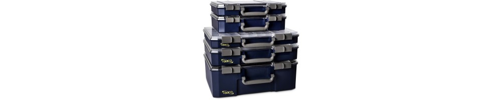 Cajas con compartimentos